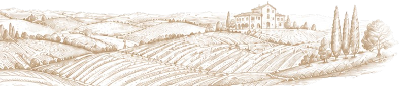 Hero image two